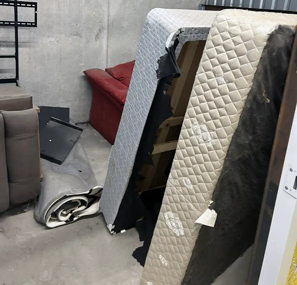 Property Cleanouts